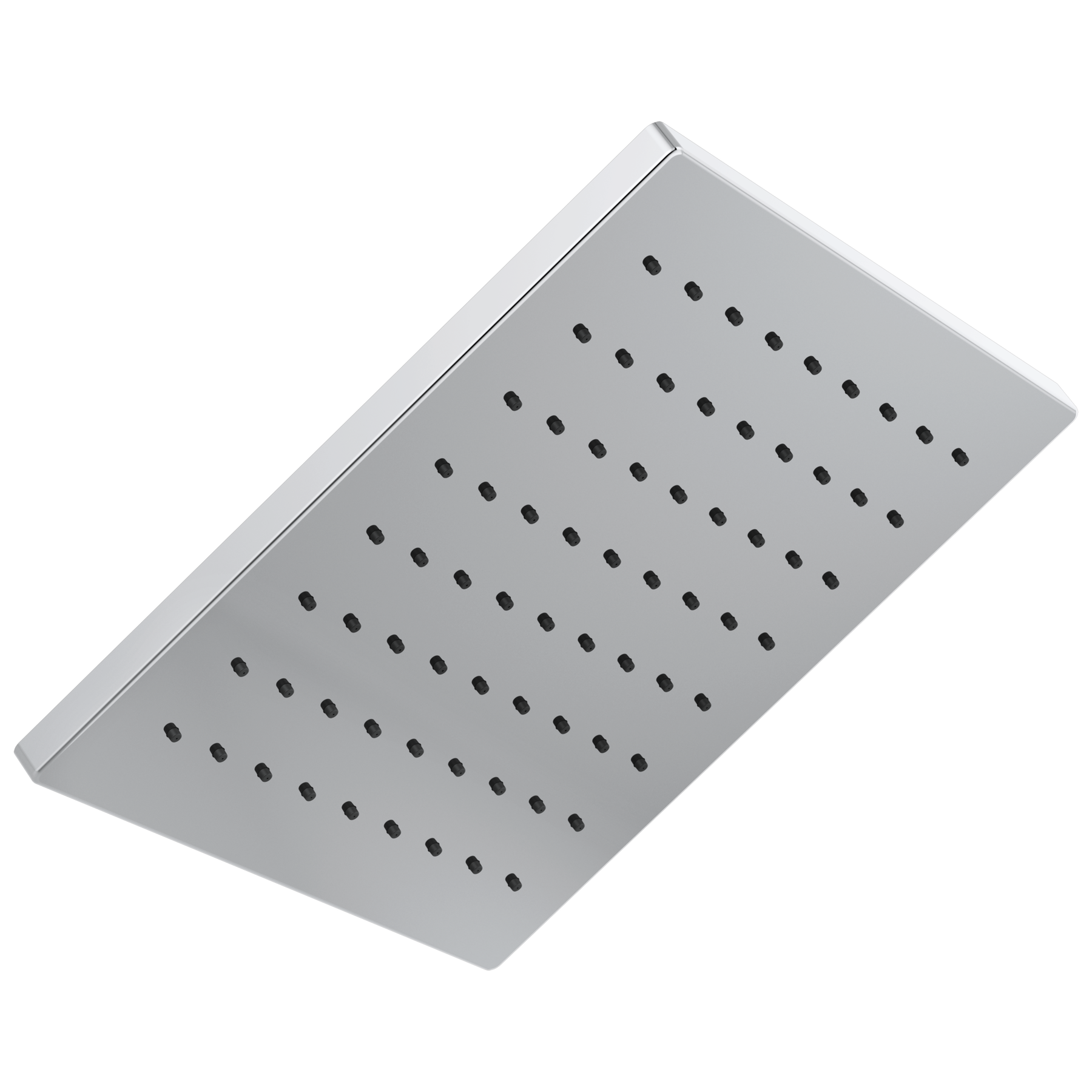 Single-Setting Metal Raincan Shower Head