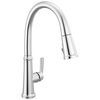 Single Handle Kitchen Pull-Down