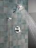 14S Shower Trim w Fixed Head & Hand Shower