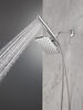 Single Setting Two-in-One Combination Shower