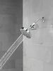 Standard Shower Filter with Shower Head Bundle