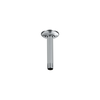 Shower Arm & Flange - Ceiling Mount