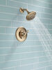 Shower Trim 1L 14S (Recertified)