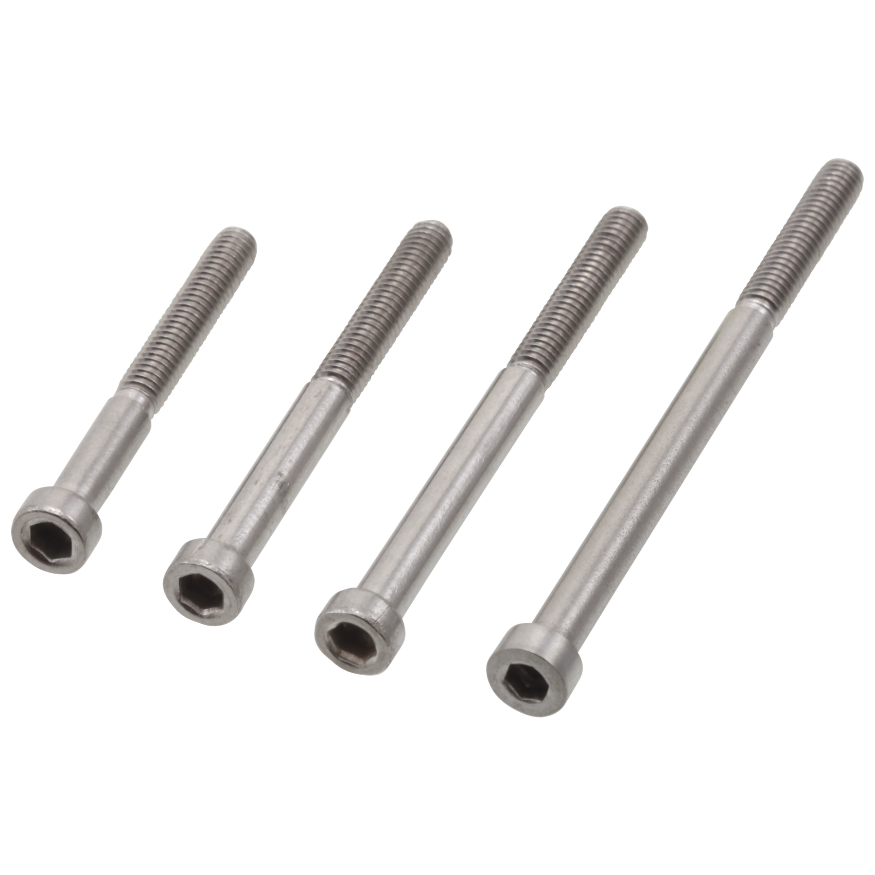Screws - On Wall - 4 Lengths