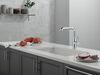 Single Handle Pull-Out Kitchen Faucet
