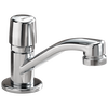 Single Handle Metering Faucet