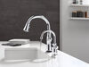 Traditional Beverage Faucet