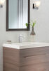 Single Handle Project-Pack Bathroom Faucet