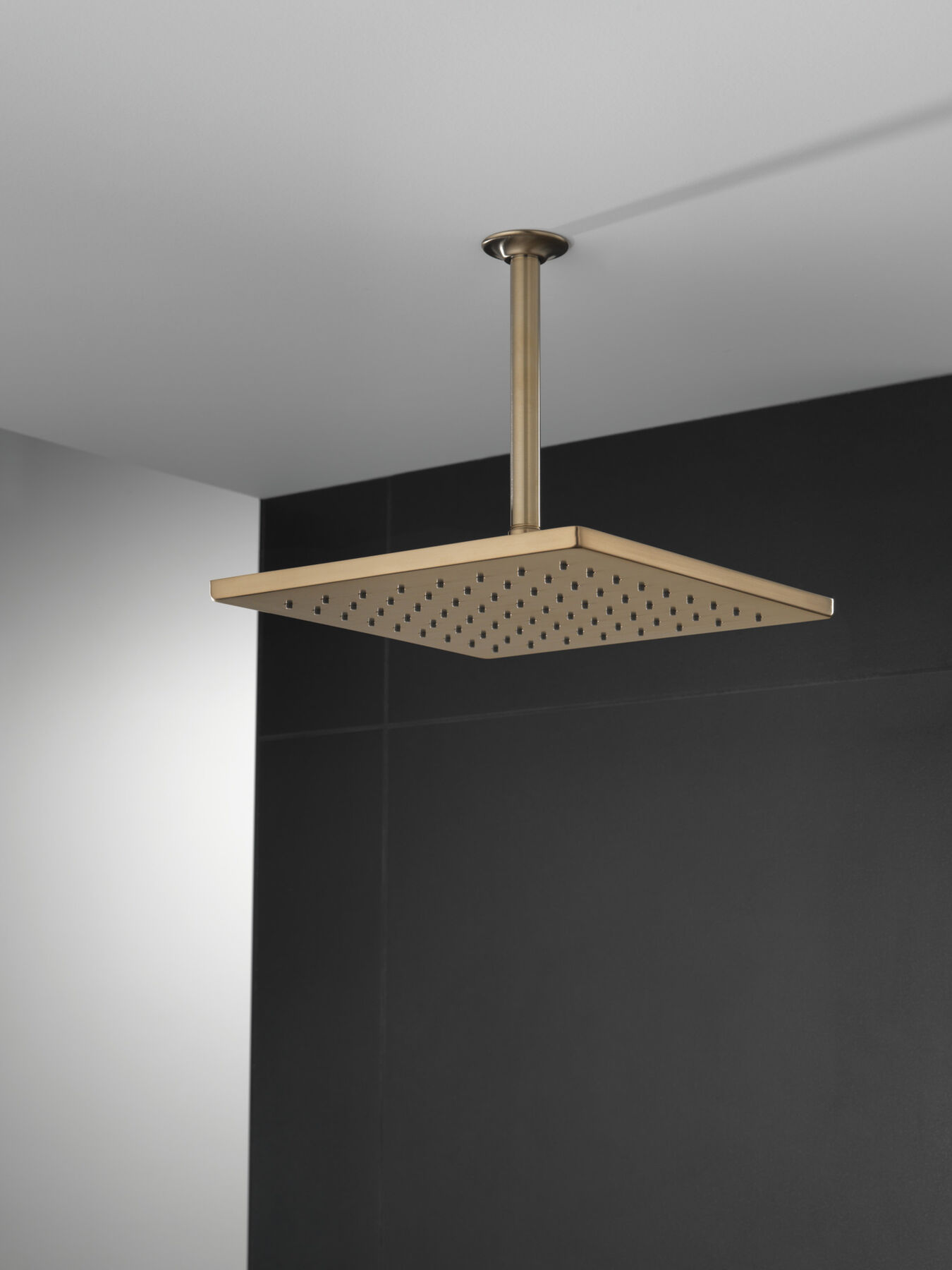 Single-Setting Metal Raincan Shower Head (Recertified), image 4