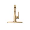 Pull-Out Kitchen Faucet (Recertified)