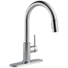 Single Handle Pull-Down Kitchen Faucet (Recertified)