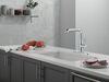 Single Handle Pull-Out Kitchen Faucet