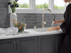 Single Handle Pull-Down Kitchen Faucet with Soap Dispenser and ShieldSpray Technology