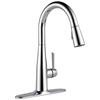 Single Handle Pull-down Kitchen Faucet (Recertified)