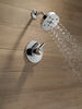 Monitor&reg; 17 Series H<sub>2</sub>Okinetic&reg; Shower Trim