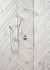 Shower Arm
