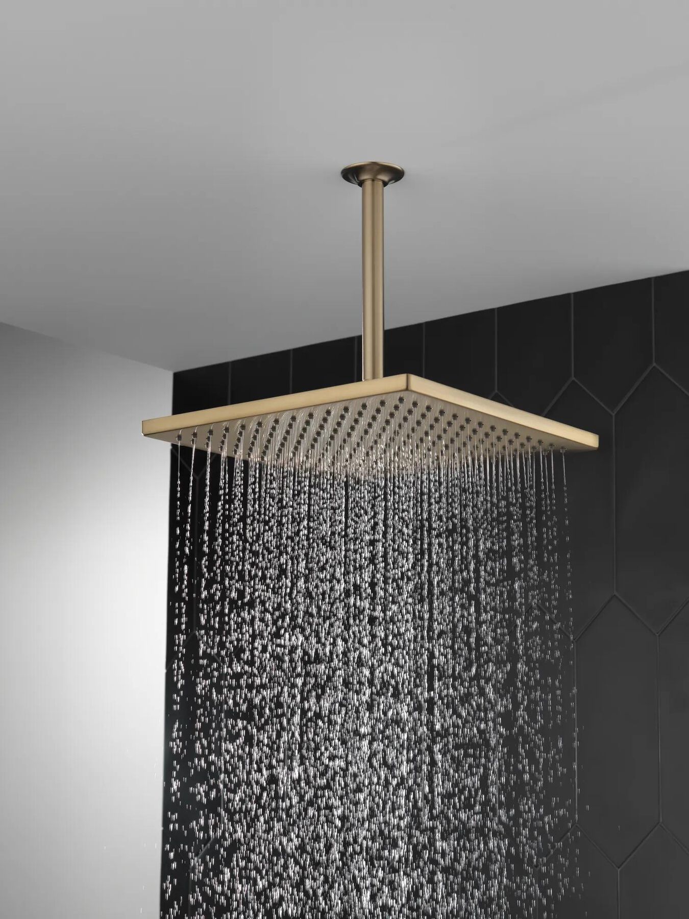 Single-Setting Metal Raincan Shower Head (Recertified)