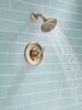 Shower Trim 14S (Recertified)