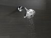 Shower Arm