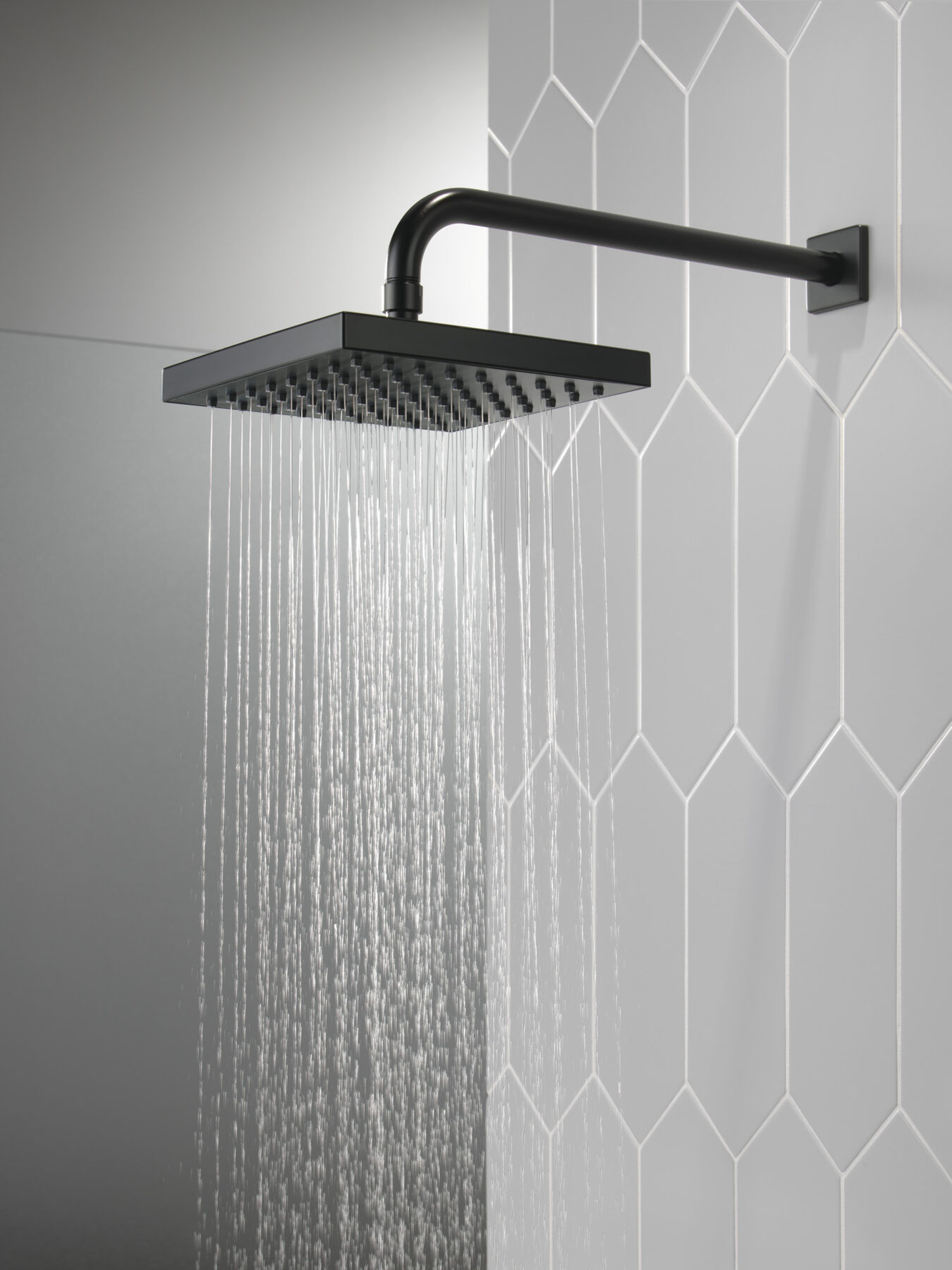 Raincan Single Setting Showerhead (Recertified)