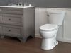 Elongated Toilet