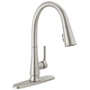 Single Handle Pull-Down Kitchen Faucet with ShieldSpray&reg; Technology