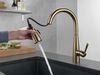 Pull-Down Kitchen Faucet  (Recertified)