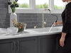 Single Handle Pull-Down Kitchen Faucet with Soap Dispenser and ShieldSpray Technology