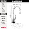 Touch2O Pull-Down Kitchen with Voice