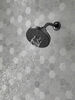 H<sub>2</sub>Okinetic&reg; 5-Setting Contemporary Raincan Shower Head