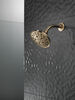 H<sub>2</sub>Okinetic&reg; 5-Setting Traditional Raincan Shower Head (Recertified)