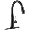 Single Handle Pull-down Kitchen Faucet (Recertified)