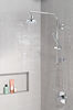 Single-Setting Hand Shower