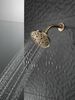 H<sub>2</sub>Okinetic&reg; 5-Setting Traditional Raincan Shower Head (Recertified)