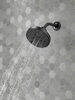 H<sub>2</sub>Okinetic&reg; 5-Setting Contemporary Raincan Shower Head