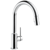Pull-Down Kitchen Limited Swivel (Recertified)