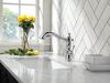 Single Handle Pull-Out Kitchen Faucet