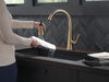 Pull-Down Kitchen Faucet (Recertified)