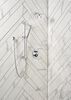 Shower Arm