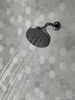 H<sub>2</sub>Okinetic&reg; 5-Setting Contemporary Raincan Shower Head
