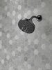 H<sub>2</sub>Okinetic&reg; 5-Setting Contemporary Raincan Shower Head