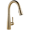 Pull-Down Kitchen Faucet  (Recertified)