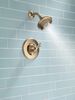 Shower Trim 14S (Recertified)