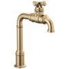 True Bar Kitchen Faucet