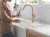 Pull-Down Kitchen w/ProClean Spray (Recertified)