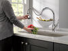Single Handle Pull-Down Kitchen Faucet with ShieldSpray&reg; Technology