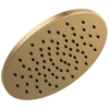 Single-Setting Metal Raincan Shower Head (Recertified)