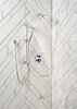 Shower Arm