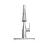 Single Handle Pull-Down Kitchen Faucet