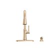 Single Handle Kitchen Pull-Down Faucet w/ Soap Dispenser